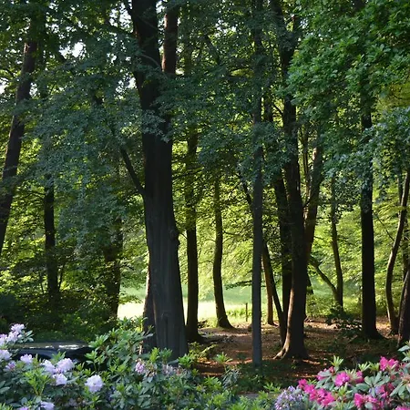 Domaine Clementine * Spa